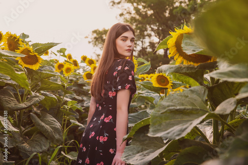 A Women in a short summer sundress poses against the background of a sunflower field, expressive and emotional summer portraits in the rays of the sunset on a background of flowers