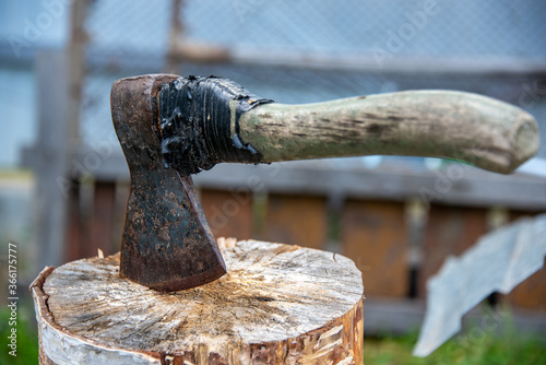 An old rusty ax with a wooden handle is rewound with a black ribbon, stuck in a birch stump. Chopping.