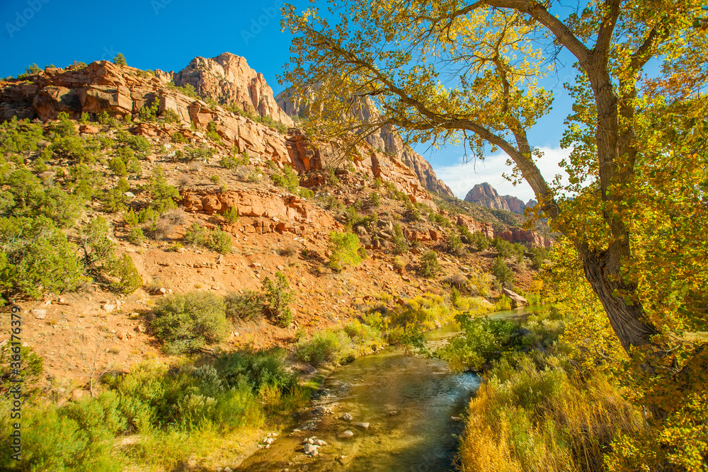 The Virgin River in Zion National Park during the fall season.  Trees showing fall colors line the river.