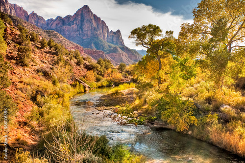 The Virgin River in Zion National Park during the fall season. Trees showing fall colors line the river.