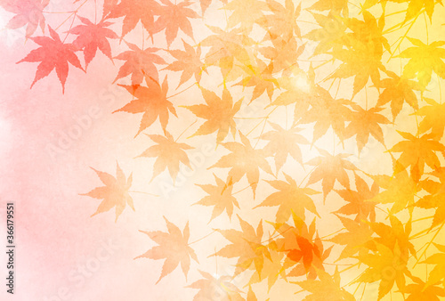 紅葉　もみじ　秋　背景

