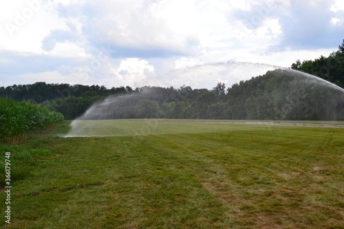 irrigation spray