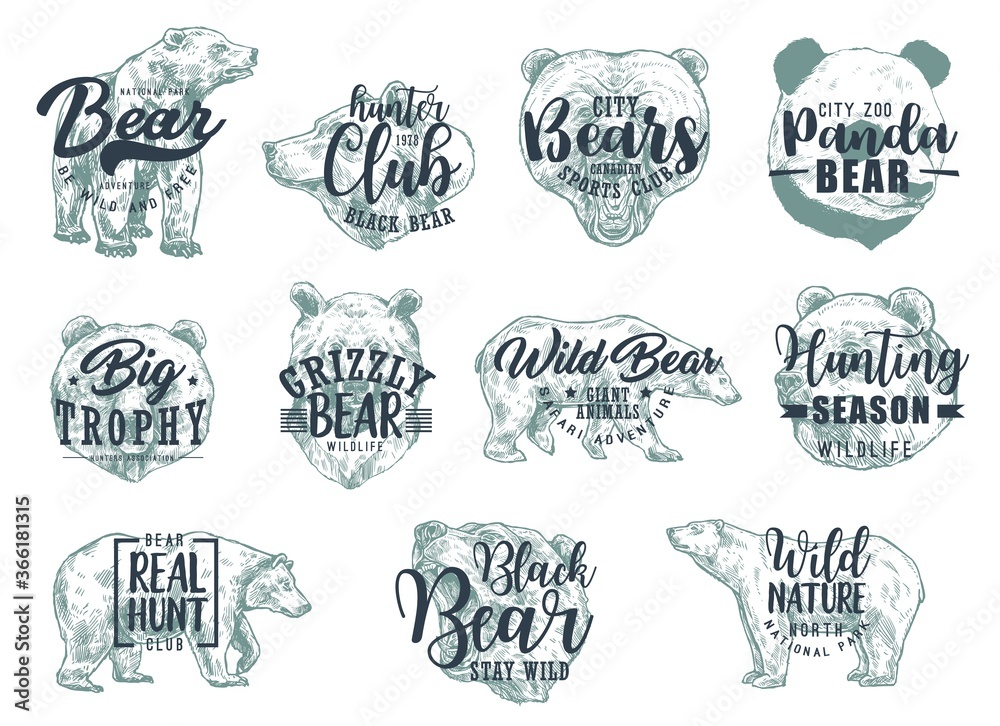 Fototapeta premium Bear animal sketches with letterings. Vector icons of hunting sport, hunter club, wild nature and safari tour with brown and white bear, grizzly and panda predatory animals, emblems design