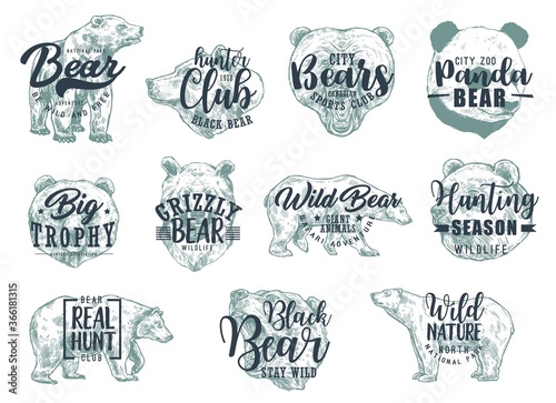 Bear animal sketches with letterings. Vector icons of hunting sport, hunter club, wild nature and safari tour with brown and white bear, grizzly and panda predatory animals, emblems design