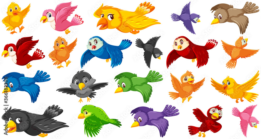 Set of bird cartoon character