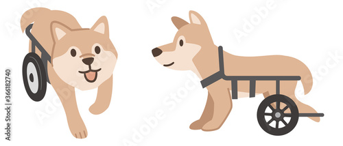 犬用車椅子