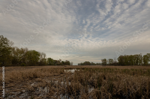 Swamp Trail