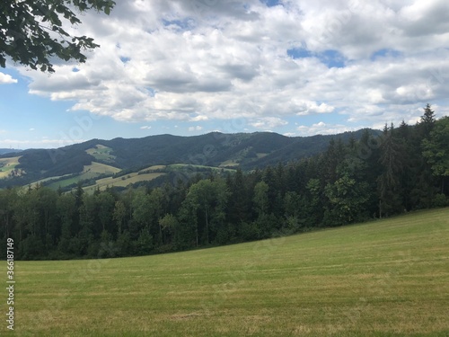 mountain landscape in summer