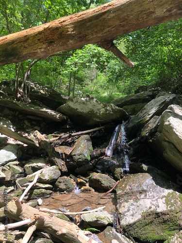 waterfall in the forest