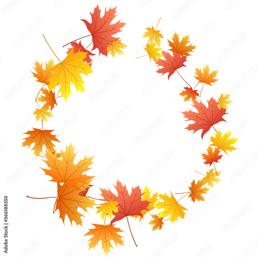 Fototapeta premium Maple leaves vector background, autumn foliage on white graphic design.