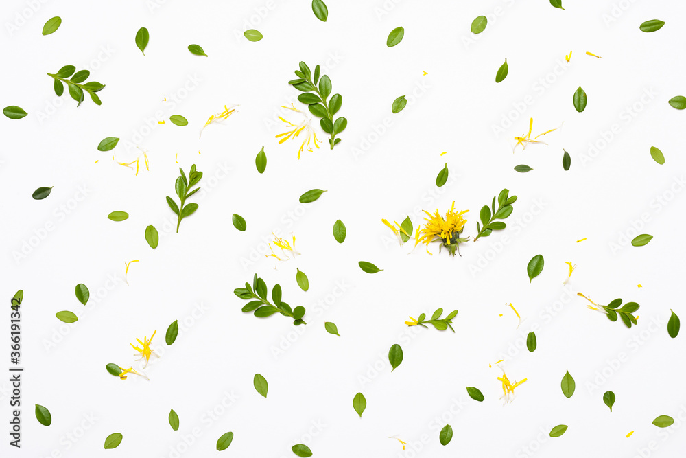 leaves and flowers pattern isolated on white background
