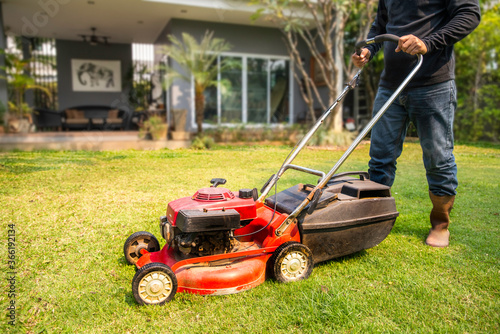 gardener using push mower to cut the grass at home