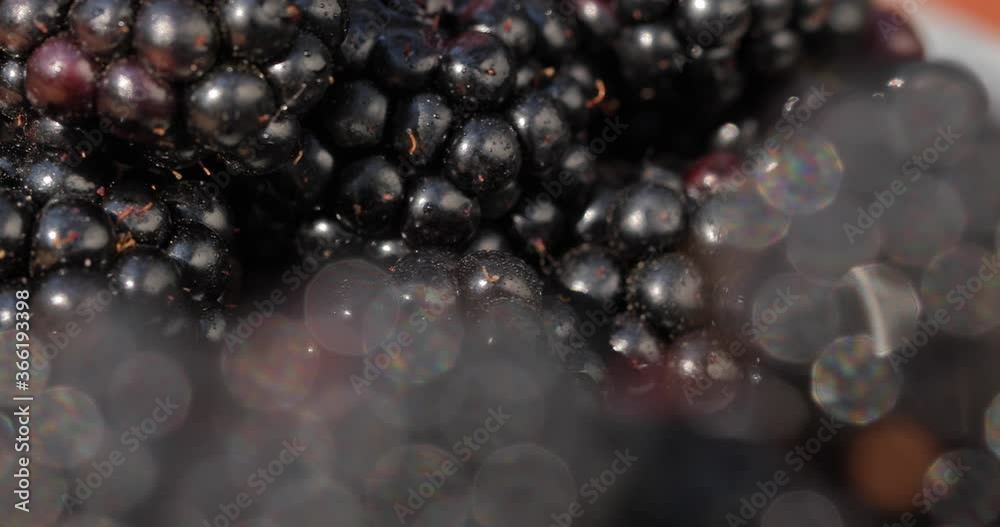 Close-up shot of blackberries. Fresh, juicy, organic, natural, delicious blackberries spin in a circle, and in the foreground in the defocus is blackberries. Close-up shot of blackberries. Fresh, juicy, organic, natural, delicious blackberries spin in a circle, and in the foreground in the defocus is blackberries.