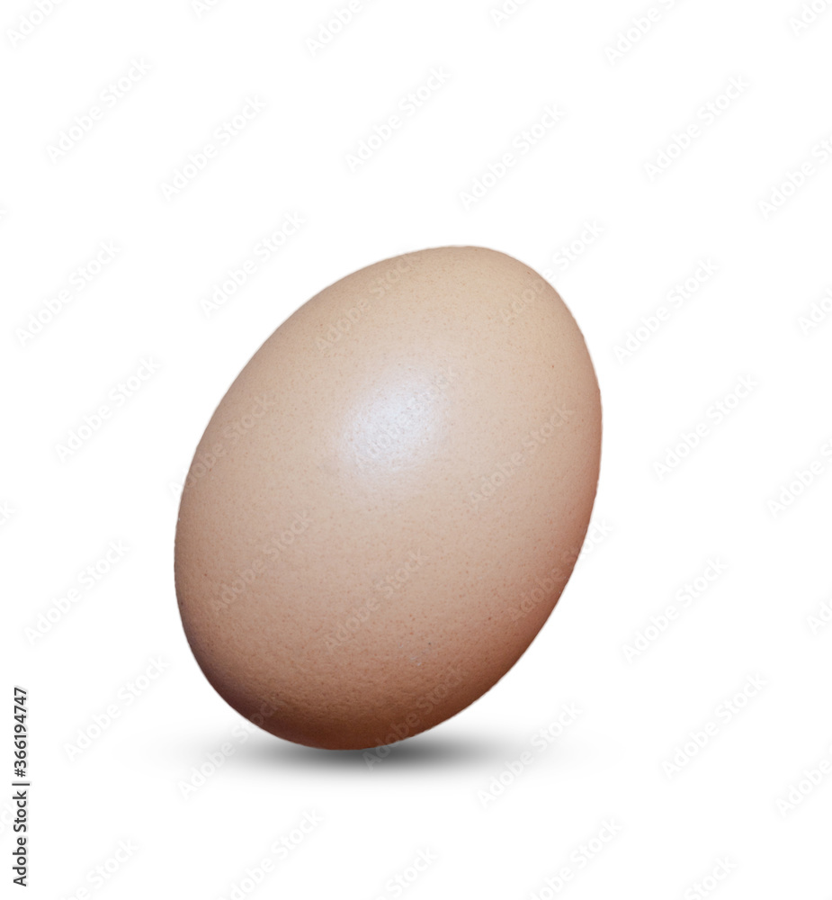 Boiled or Fresh Chicken Egg on Isolated White Background Close Up. Boiled or Fresh Chicken Egg on Isolated White Background Close Up.