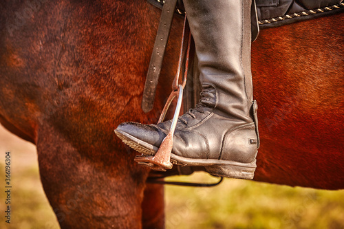 Dressage, rider on a horse, close-up of the rider's Shoe in the stirrup, detailed photo