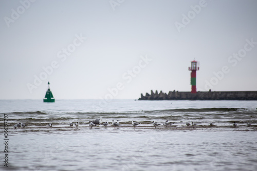 Wallpaper Mural Mühlenbake  Swinemünde Möwen Torontodigital.ca