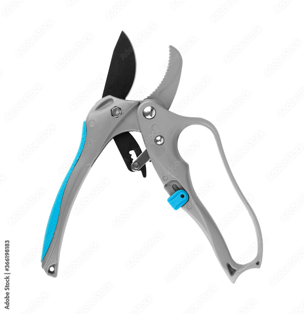 Garden secateurs isolated on a white background with clipping paths Garden secateurs isolated on a white background with clipping paths