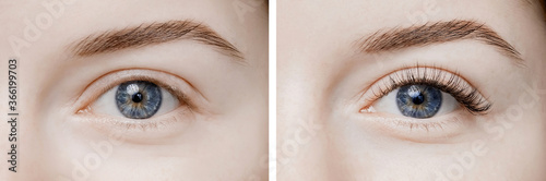 Before and after eyelash extension procedure. Beautiful and expressive eyes of young woman with fake long lashes photo