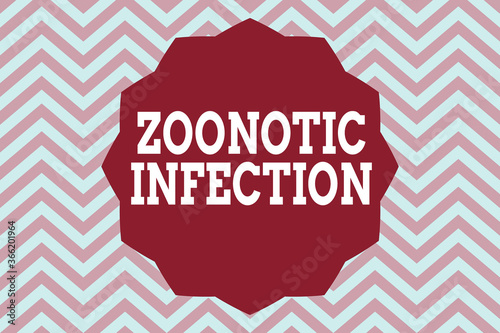 Word writing text Zoonotic Infection. Business photo showcasing communicable disease transmitted by a non viral agent Twelve 12 Pointed Star shape Dodecagon in Solid Color Zigzag effect Polygon photo