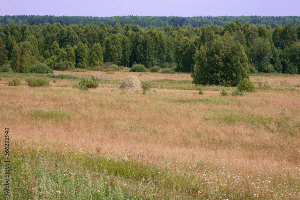 Landscape. Beyond the mown meadow, you can see a haystack and a forest in the background.