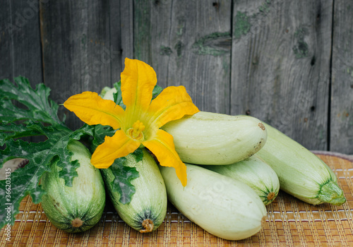 Flowers, leaves and fruits of zucchini isolated on a wooden background photo