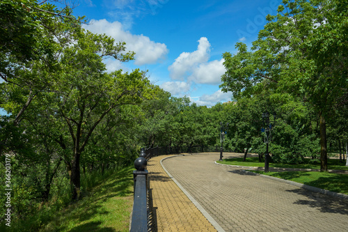 Walking path in the city recreation Park