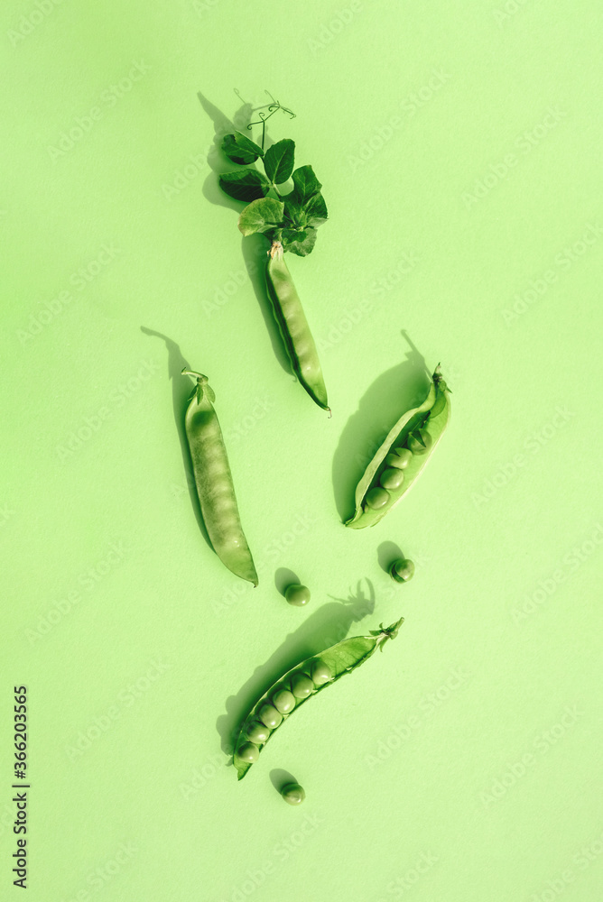 Trendy Sunlight Pattern made from pods of green peas on a green background. Minimalistic composition. Monochrome - obrazy, fototapety, plakaty 