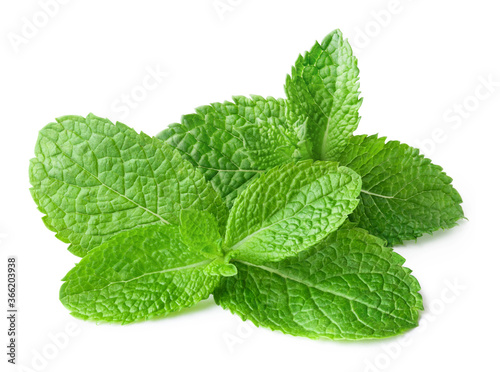 Heap of delicious mint leaves, isolated on white background