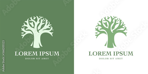 Tree of life logo template design. Plant growth symbol. Organic eco brand sign. Green nature emblem. Vector illustration.