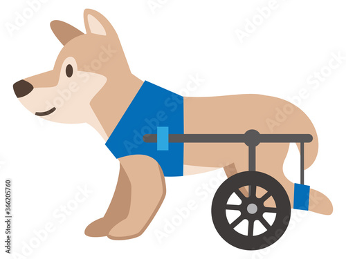 犬用車椅子
