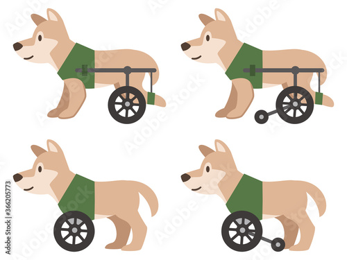 犬用車椅子