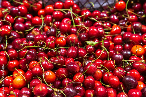 cherry fruit close-up. on the market stalls. sale of ripe fruit