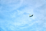 Blue kite flying in the sky
