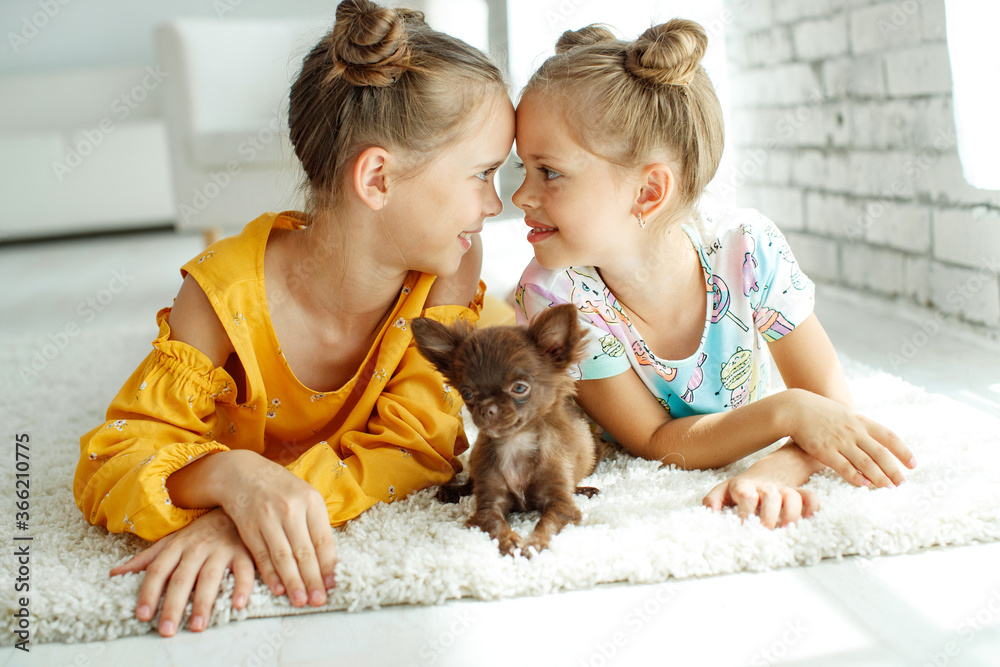 Obraz premium Child with a dog. Little girls play with a dog on the carpet at home. High quality photo.