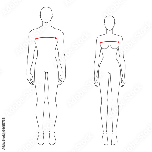 Women and men to do x-front and x-back measurement fashion Illustration for size chart. 7.5 head size girl and boy for site or online shop. Human body infographic template for clothes. 