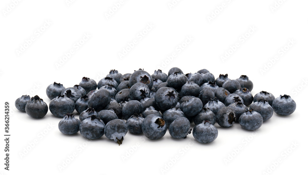 heap of blueberries on white background heap of blueberries on white background