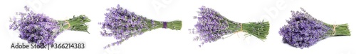 Set of beautiful tender lavender flowers on white background. Banner design