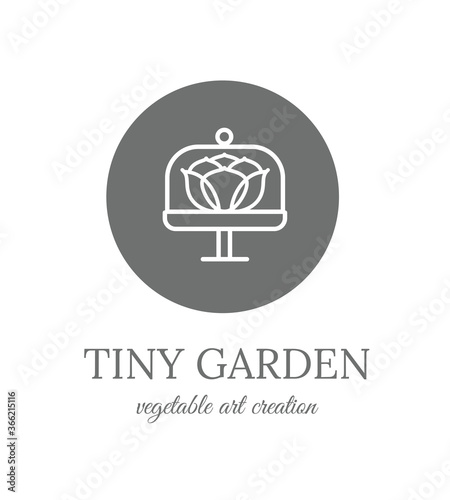 jardin miniature en bocal