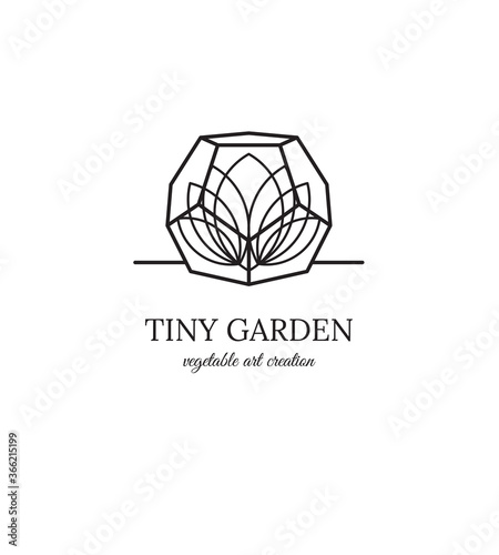 bocal, aquarium, création, végétal