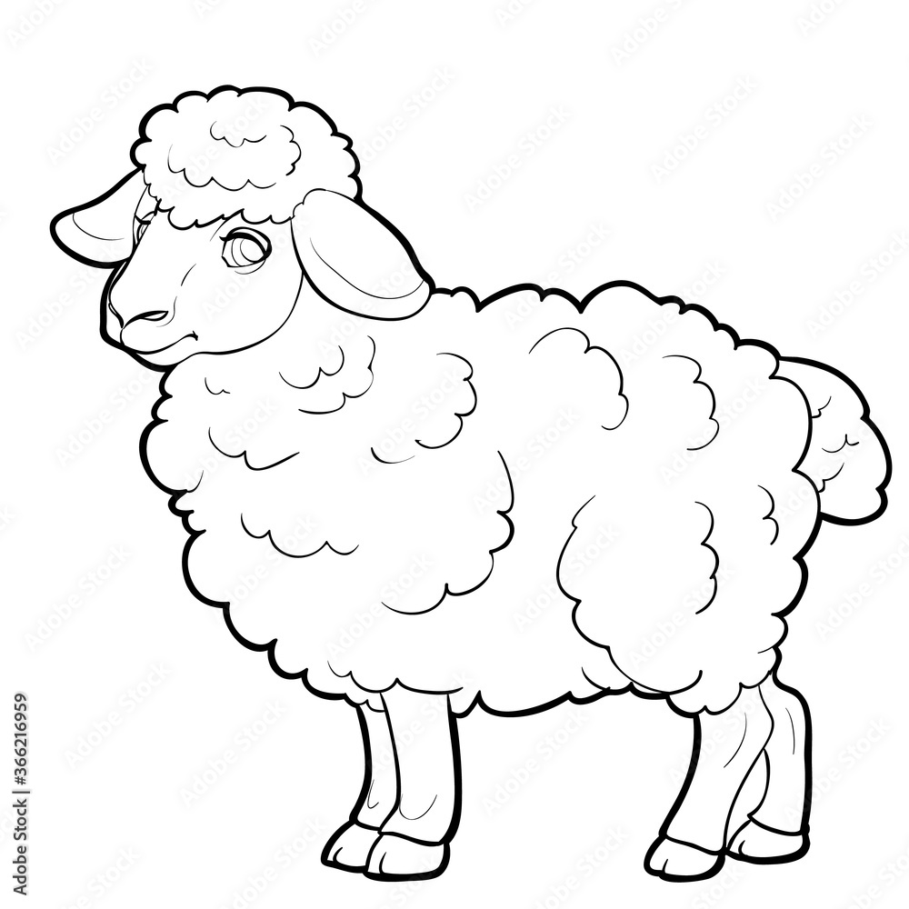 sheep sketch, farm, coloring, isolated object on a white background, vector illustration, sheep sketch, farm, coloring, isolated object on a white background, vector illustration,