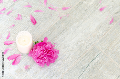 Beautiful pink peony flowers and white candle on light grey stone background with copy space for your text top view. Greeting card  SPA and romantic concept.