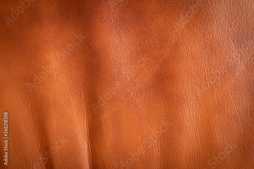 Wallpaper Mural Old Brown Leather Texture Background, Natural Aged Skin Torontodigital.ca