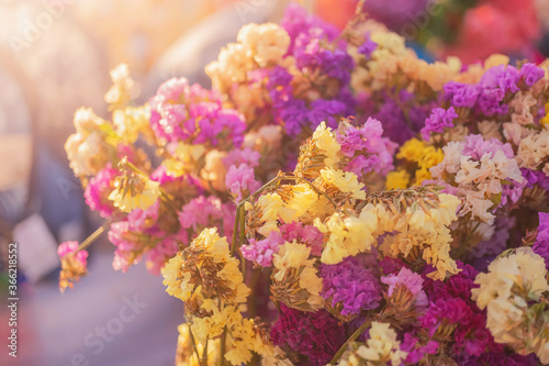 Fresh purple flowers  Focusing on purple bouquets with gentle morning sunlight  making the background blur.