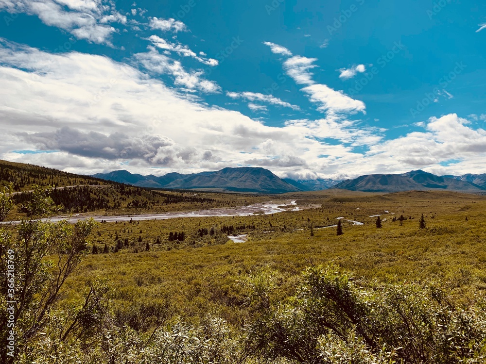 Fototapeta premium Denali National Park in Alaska