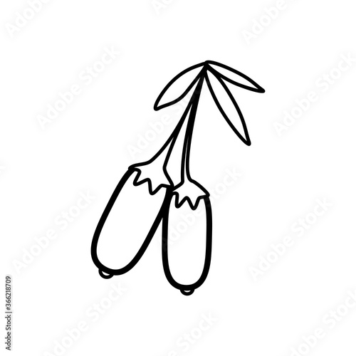 Dogwood berries line icon on a white background