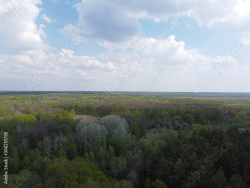 Blue cloudy skies over a dense forest  aerial view. Beautiful cloudy sky over the forest.