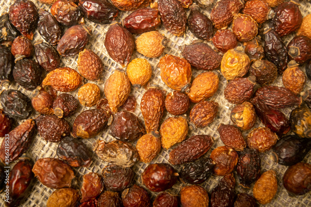 Dried rosehip fruits scattered on a homespun fabric with a rough texture. Close up. Dried rosehip fruits scattered on a homespun fabric with a rough texture. Close up.