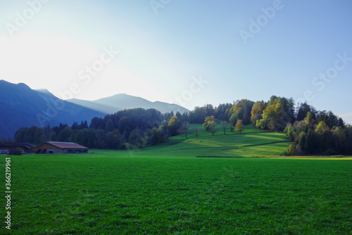 mountain landscape with green grass