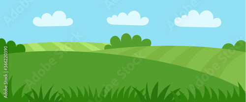 Green meadow. Cornfield. Summer rural landscape. Agriculture. Banner for website, country background. Flat cartoon illustration.