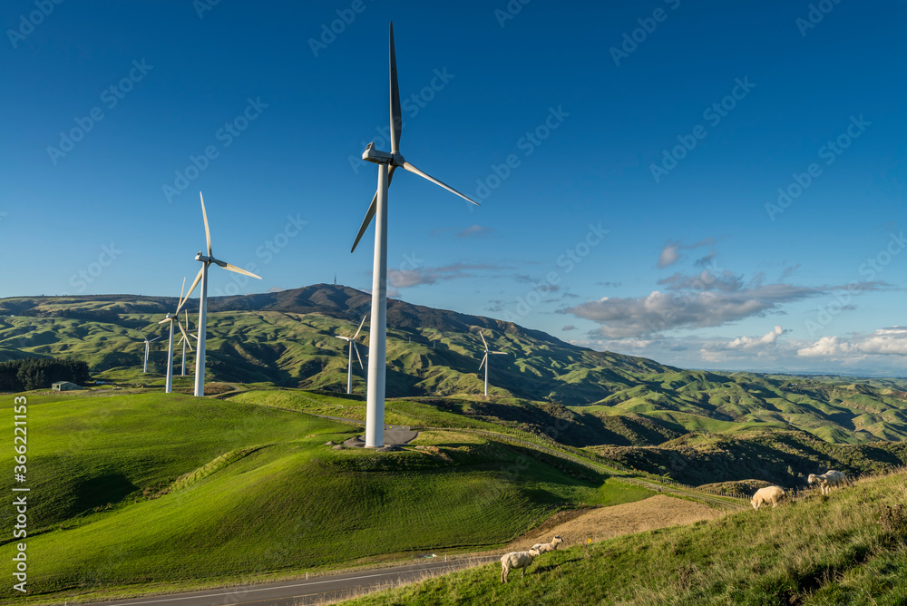 Wind farm next to a state highway in New Zealand Wind farm next to a state highway in New Zealand